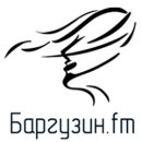 Радио Баргузин FM (Улан-Удэ 104.6 FM) лого